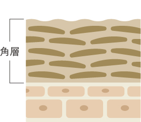 角質肥厚の肌の肌断面図